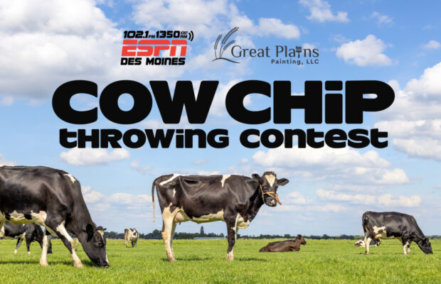 Cow Chip Throwing Contest